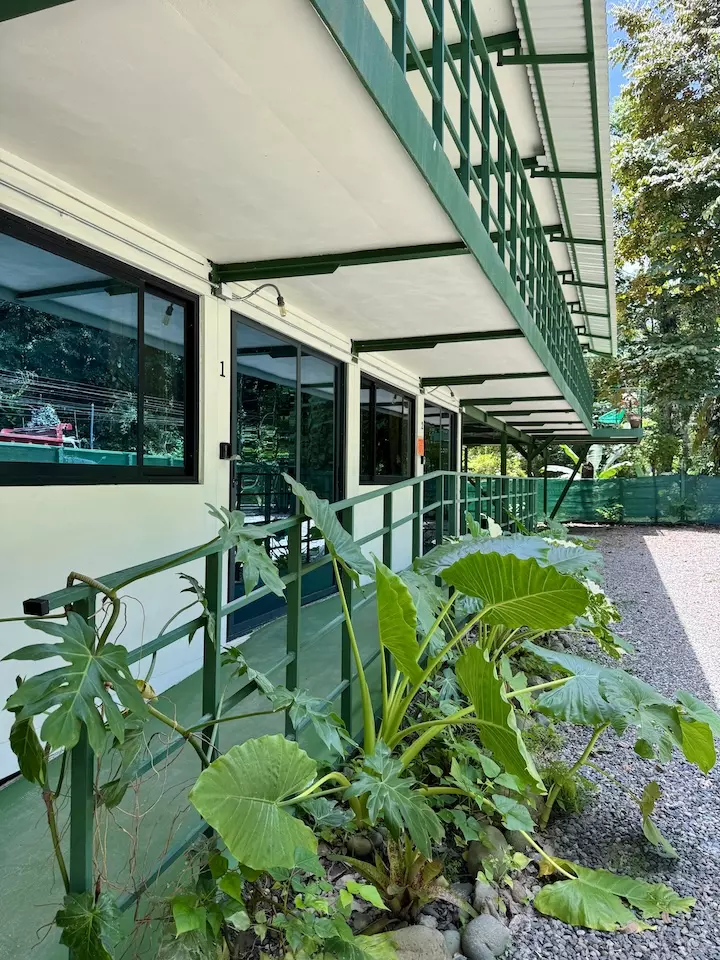 Cocles Green Studio First Floor