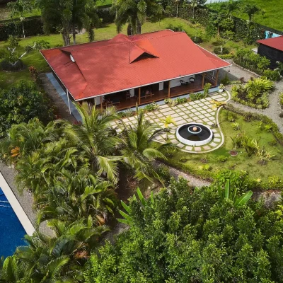Kissing Geckos Lodge Portada
